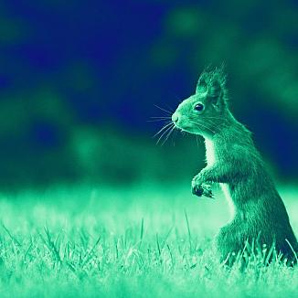 Data Breach in der Praxis. Reagieren, aufklären und die Kontrolle behalten